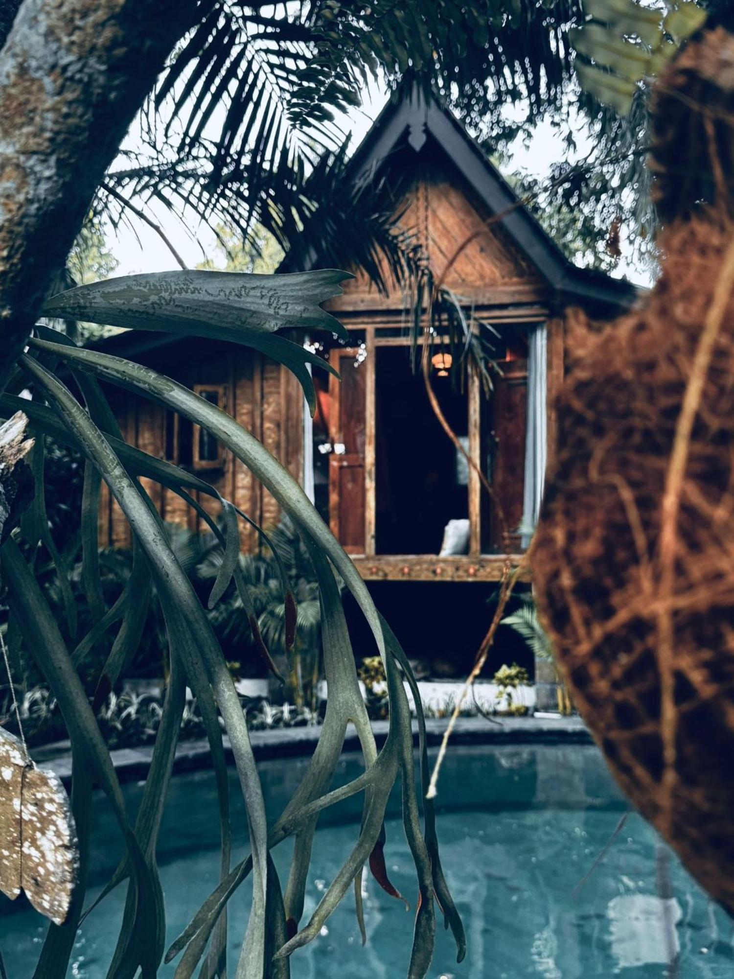 Resort Jungleroom Canggu Εξωτερικό φωτογραφία